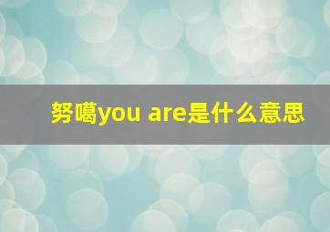 努噶you are是什么意思